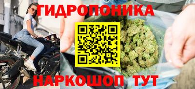 ГАЛЛЮЦИНОГЕННЫЕ ГРИБЫ Краснознаменск